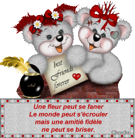declaration damiti&eacute;